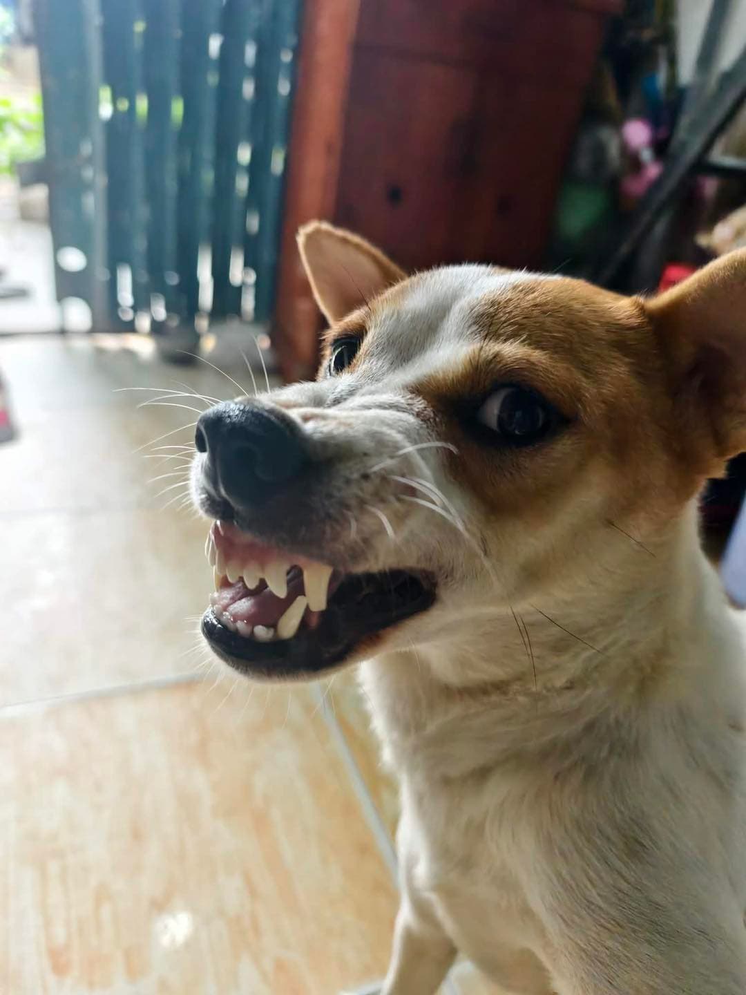 My