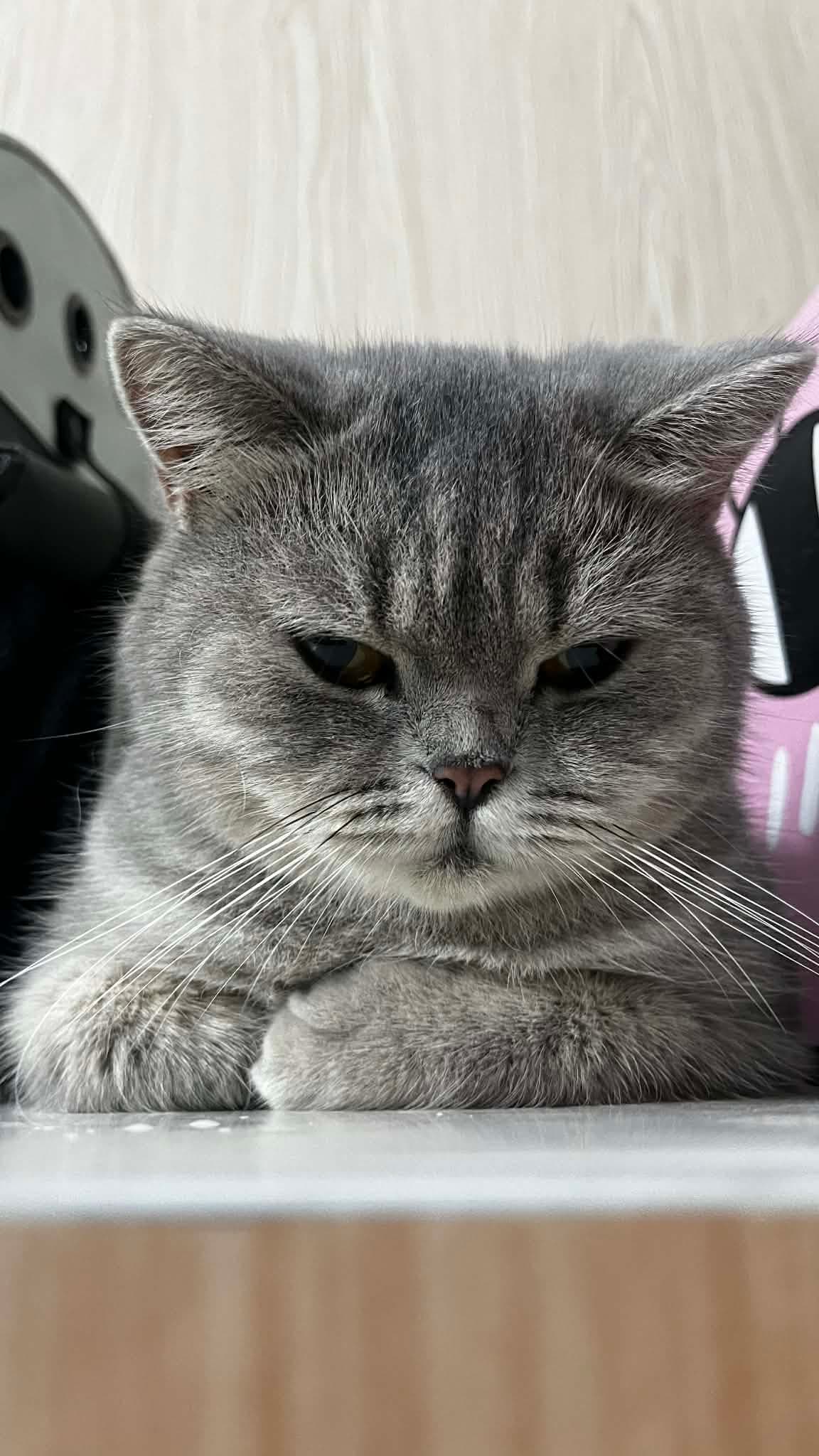 Sữa