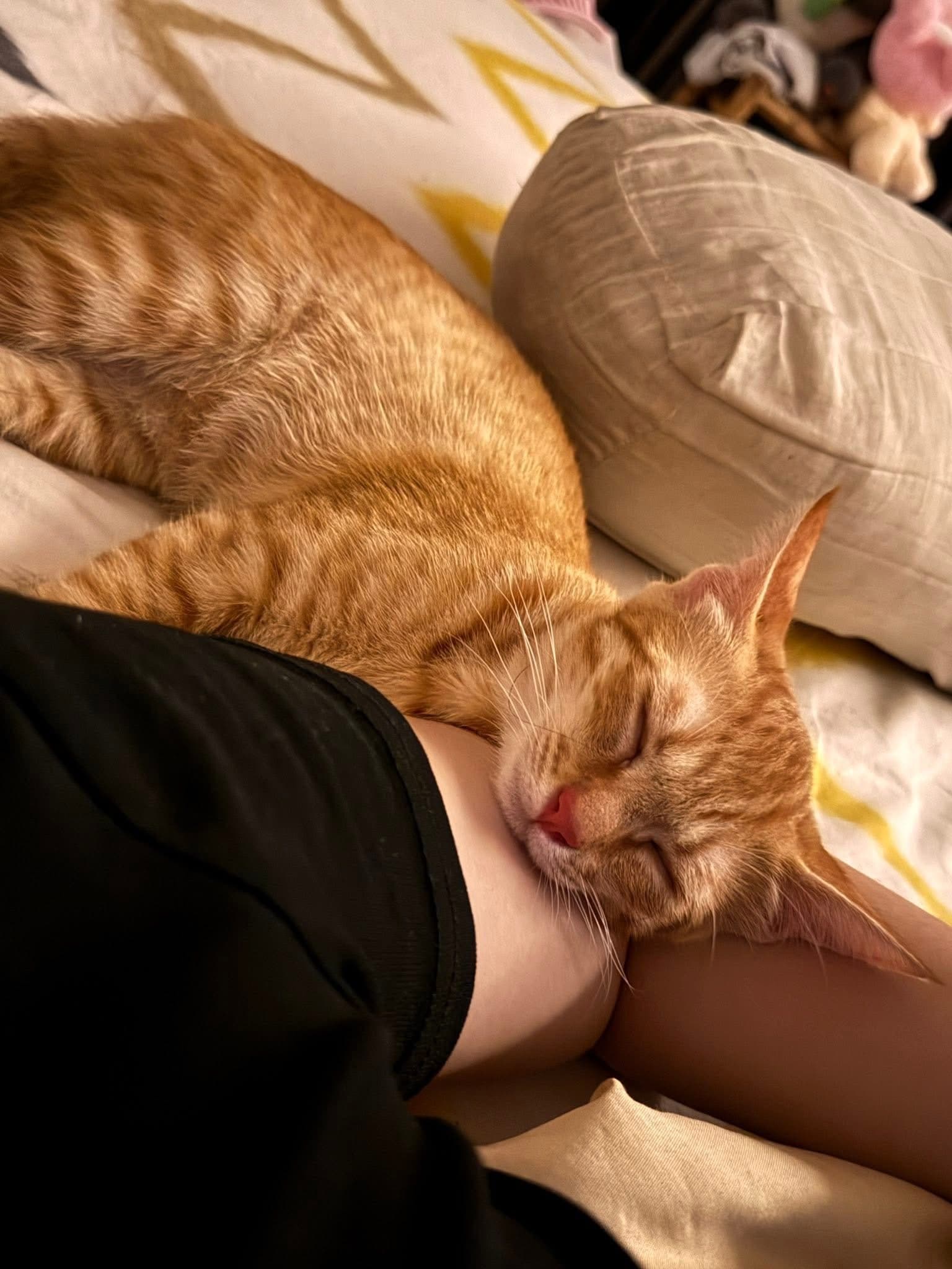 Mimi