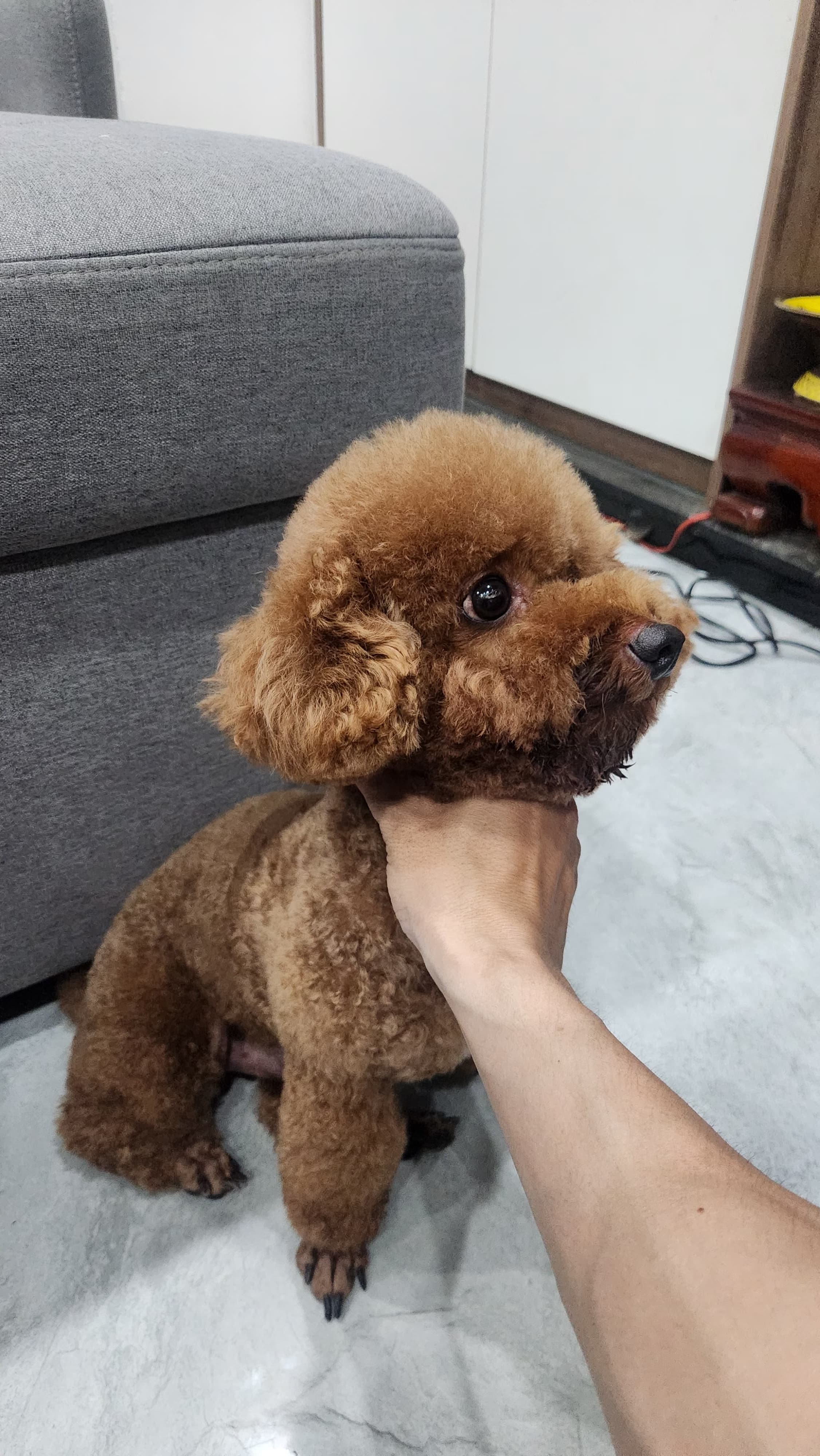 Nấm