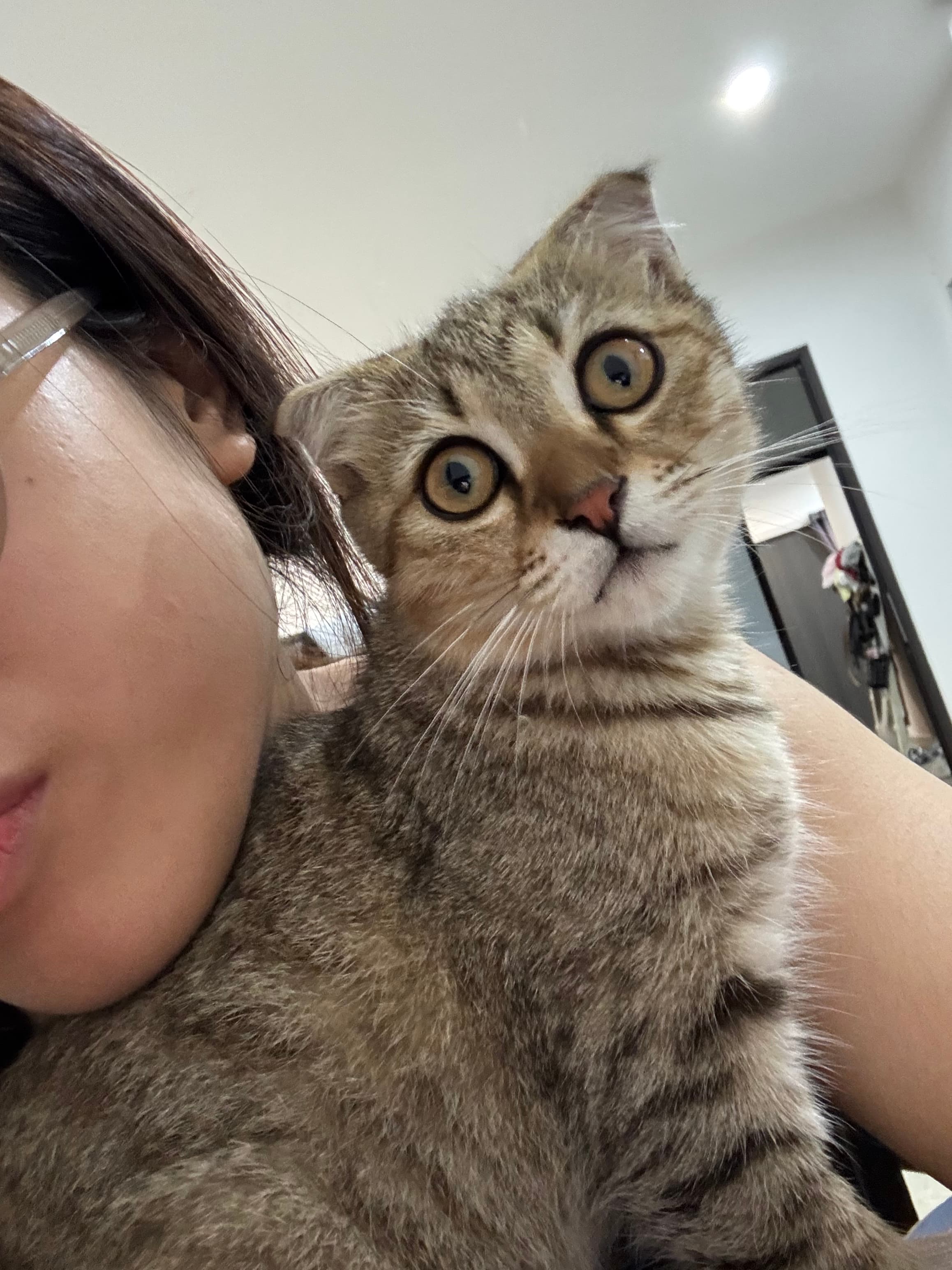 Bột