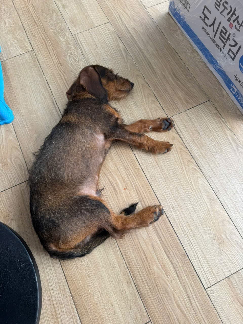 Mocha
