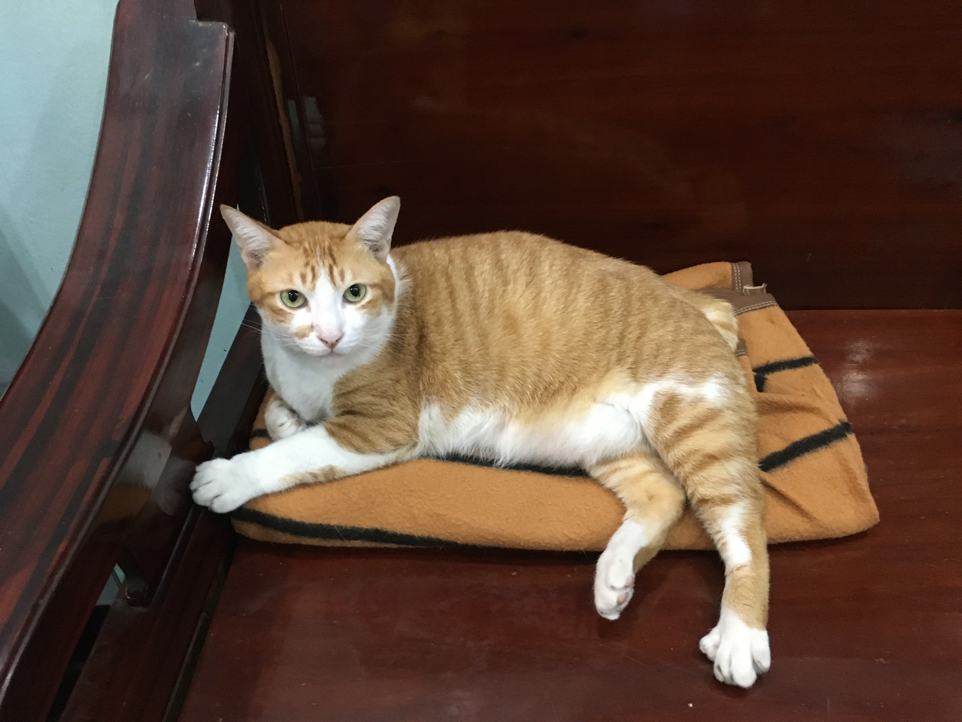 Mimi - Image 1